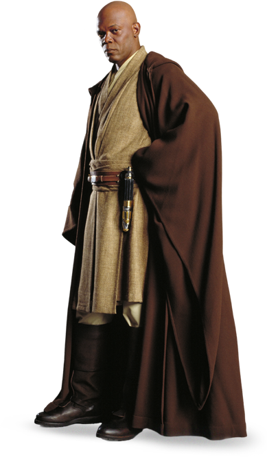 Mace Windu was notified of Skywalker's disappearance by Wen-Hurd and the 302nd.