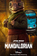 Frog Lady The Mandalorian S2 Poster