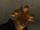 GranBounty.jpg