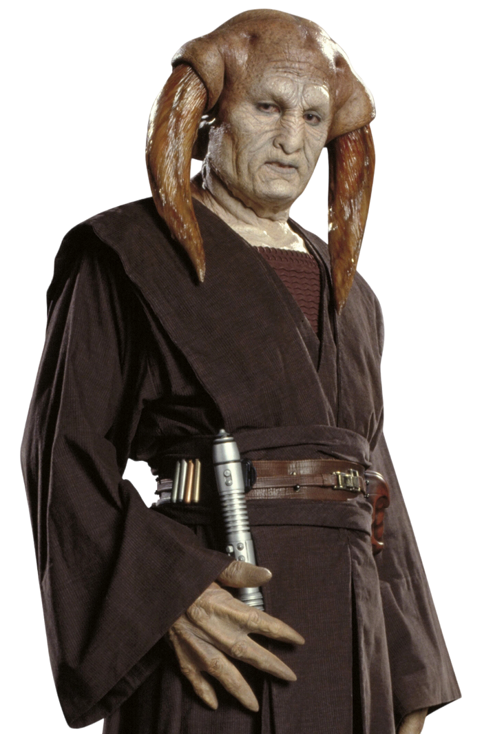 Jedi Master Saesee Tiin hailed from Iktotch.