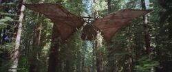 Wunka Glider
