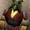 Vek Drow/Legends