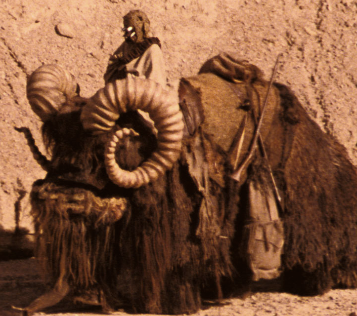 A bantha and his Tusken rider.