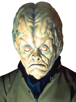 PonsLimbic-SWCT2