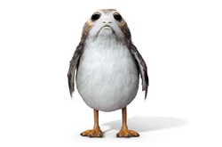 Porg