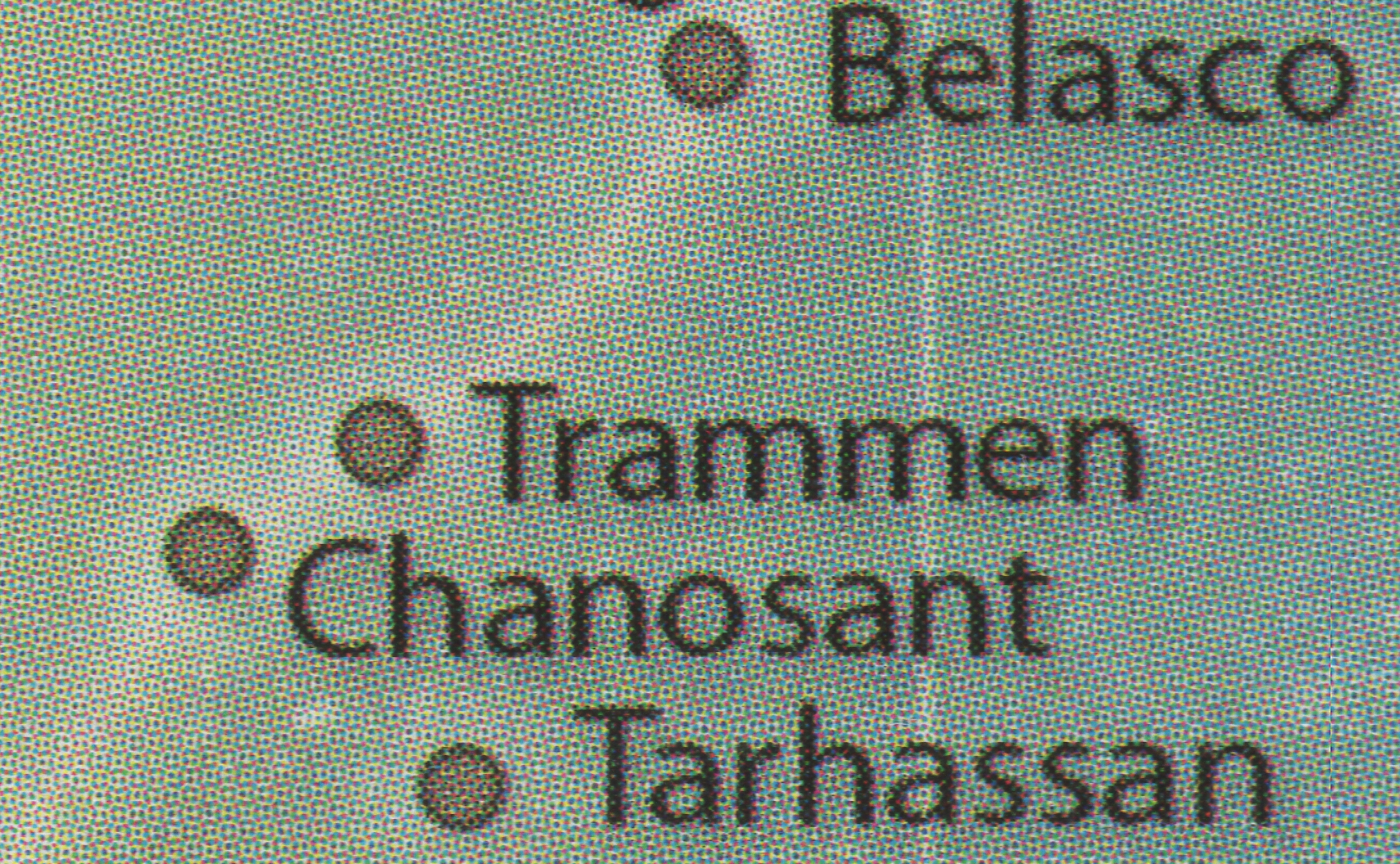 Trammen appearance 