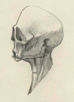 Givin McQuarrie Concept