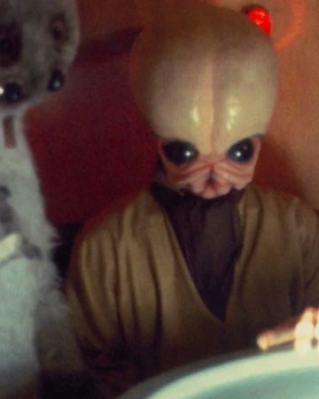 ライリン カーン Wookieepedia Fandom