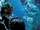 Unidentified aquatic species city