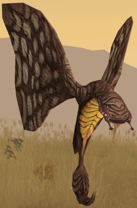 Corellian butterfly appearance 
