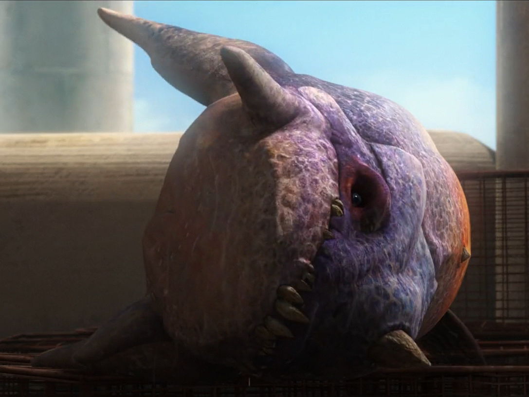 Pabu fish appearance 