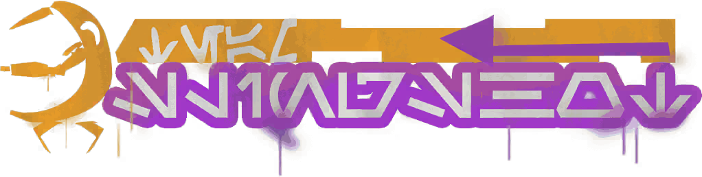 Slingshot (team) appearance 