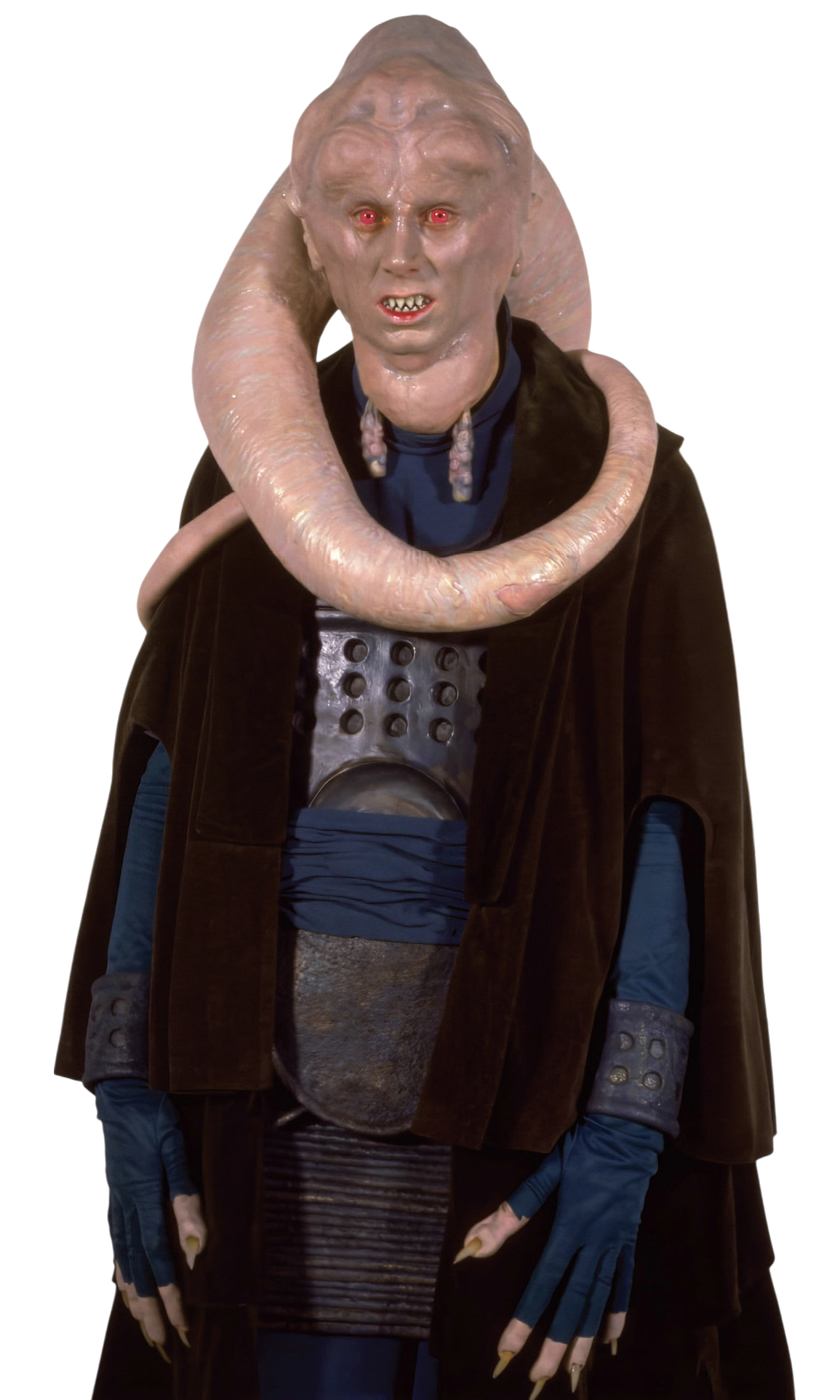 bib fortuna