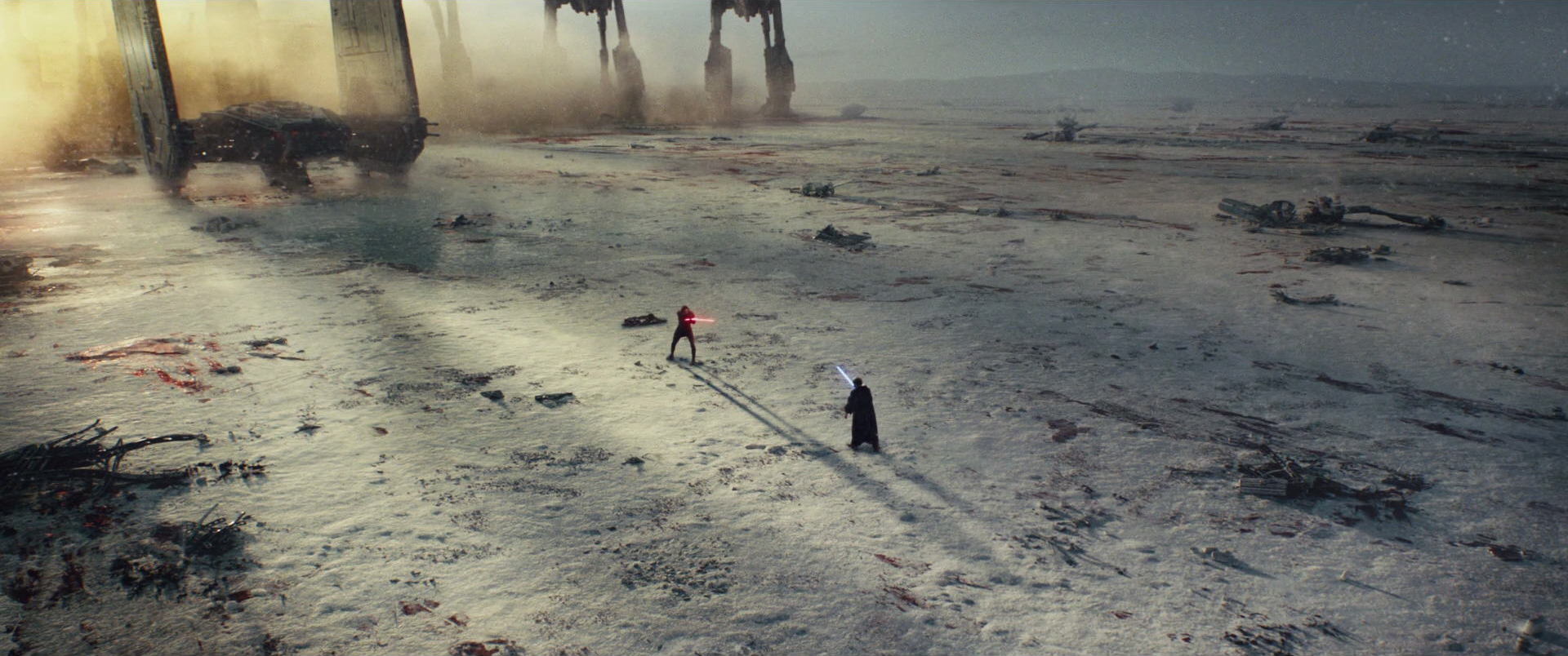 Skywalker confronted Ren, his fallen nephew and former apprentice, in order to save the Resistance.