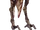 Geonosisli