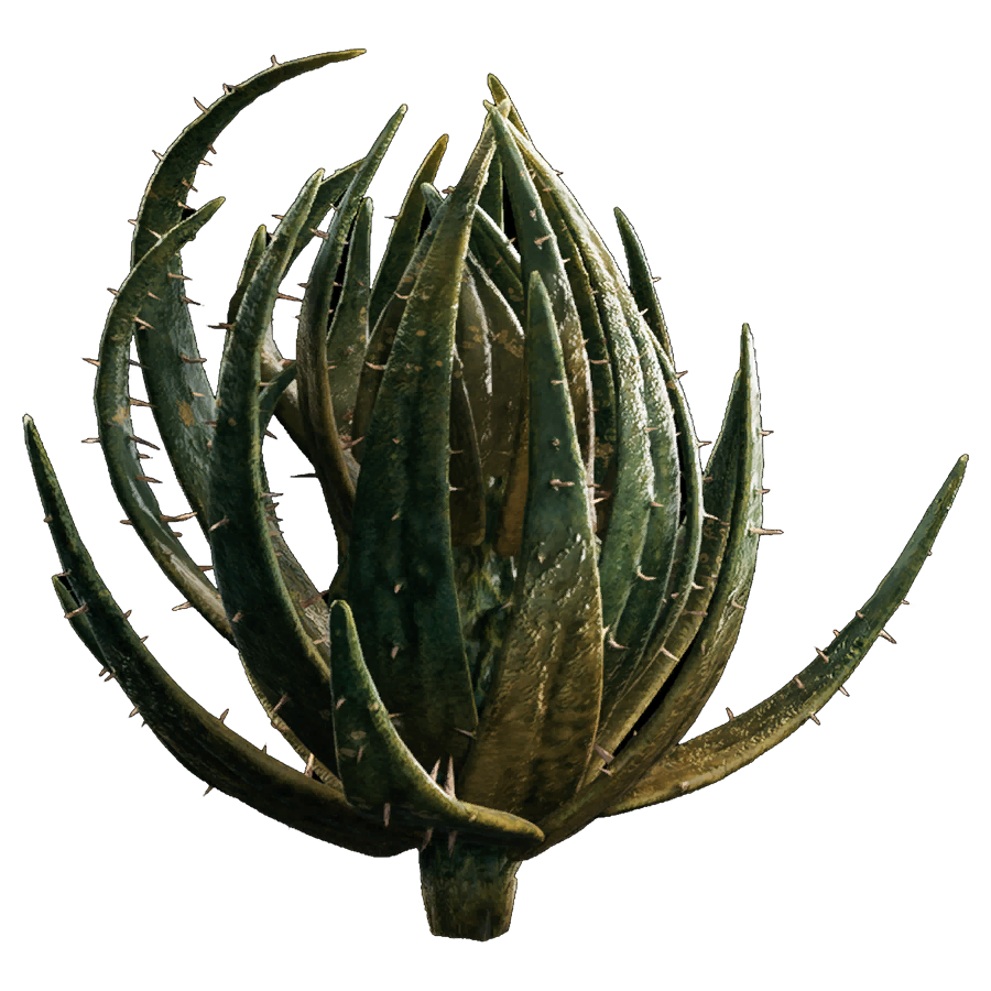Cactus ball appearance 