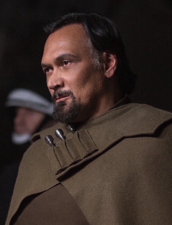 Bail Prestor Organa appearance in Common Appearance