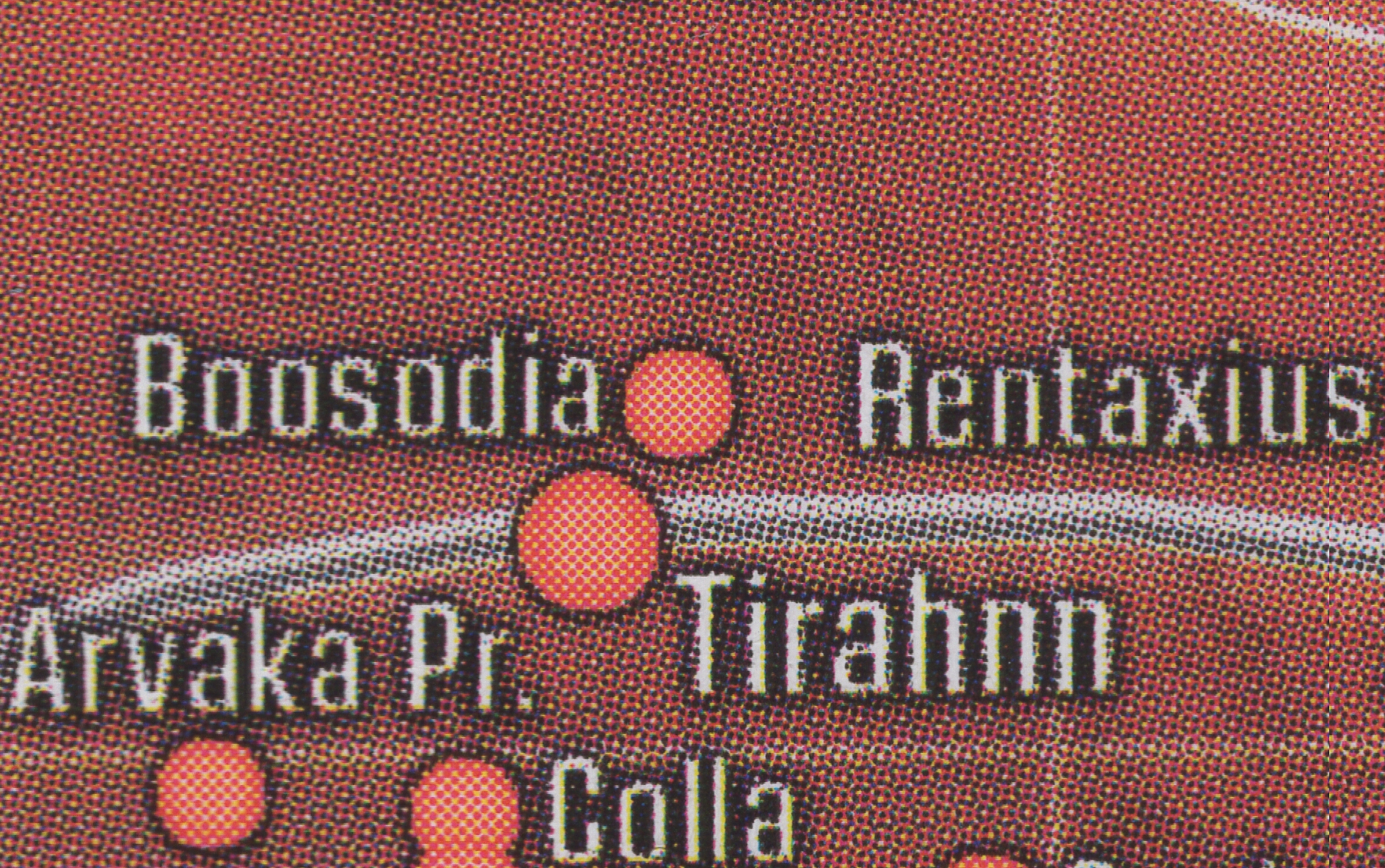 Boosodia appearance 