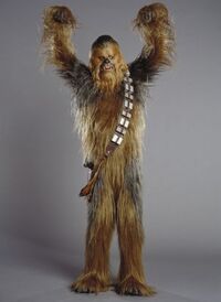 Chewie01234