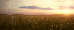 Fields of Zakuul
