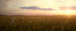 Fields of Zakuul