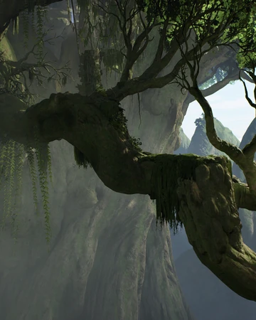 Gnarled Heights Wookieepedia Fandom Join us as we chronicle that galaxy far, far away! gnarled heights wookieepedia fandom