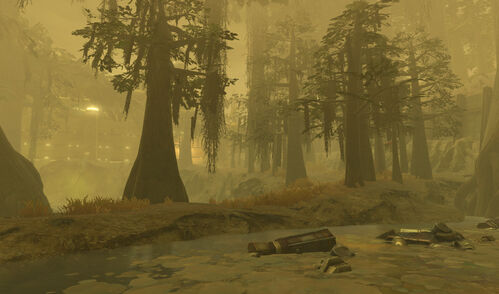 Polluted Swamp