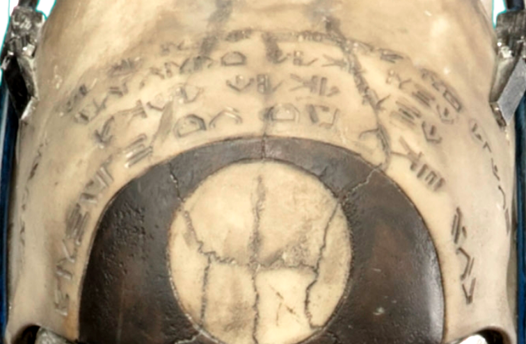 Unidentified Aurebesh script  (battle helmet) appearance in Common Appearance