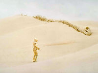  passa vicino alle ossa di un  su .