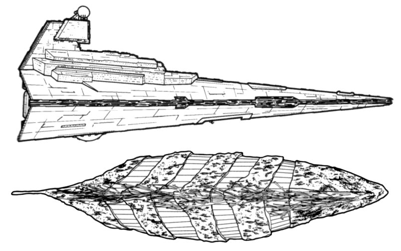 Miid ro'ik shown to scale with an Imperial-class Star Destroyer (1,600m).