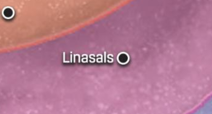 Linasals appearance in Common Appearance