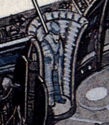 Trade monarch appearance 