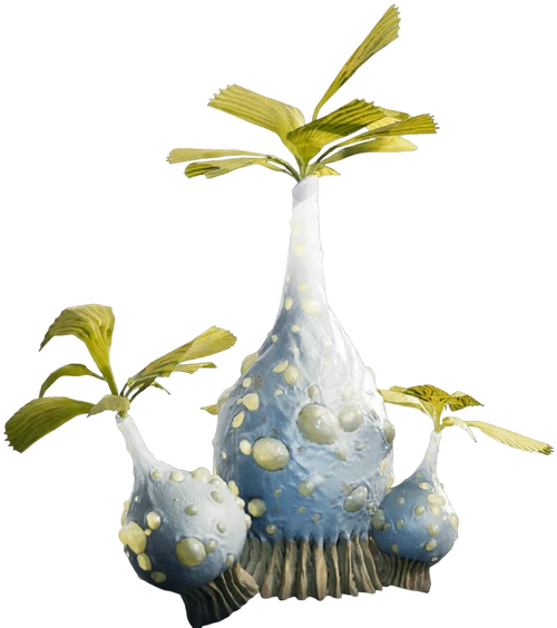 PalmFruitShell-WorkInProgressFootage