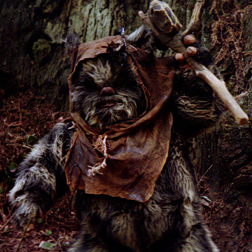 Ewok previously identified as Graak.