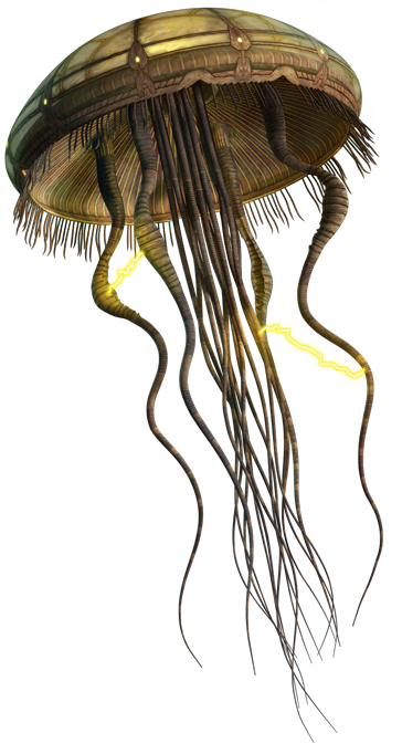 Hydroid Medusa appearance in Common Appearance