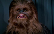 Chewie DS1