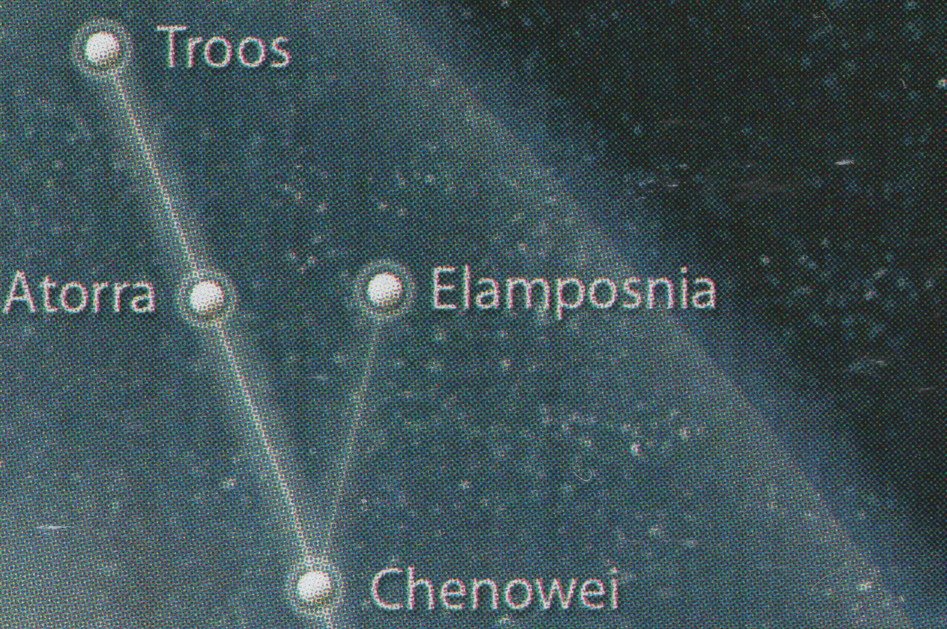 Elamposnia appearance 