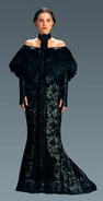 Padmefull3Dinnershawl.jpg (255 KB) Black corset dress (with shawl)