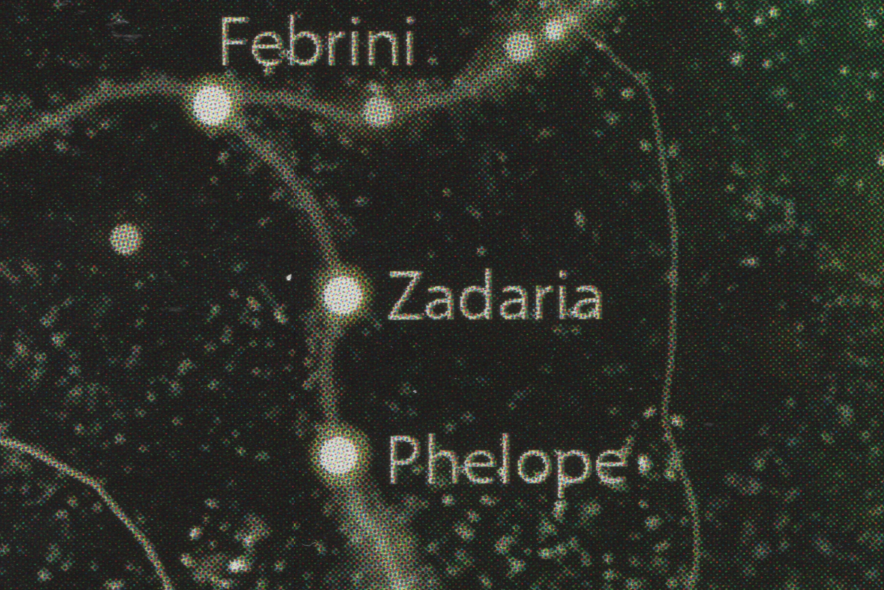 Zadaria system appearance in Common Appearance