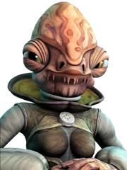 Tills during the Civil War on Mon Cala