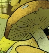 Mushroom