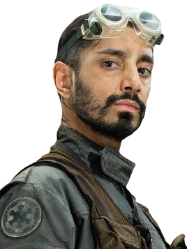 Bodhi Rook