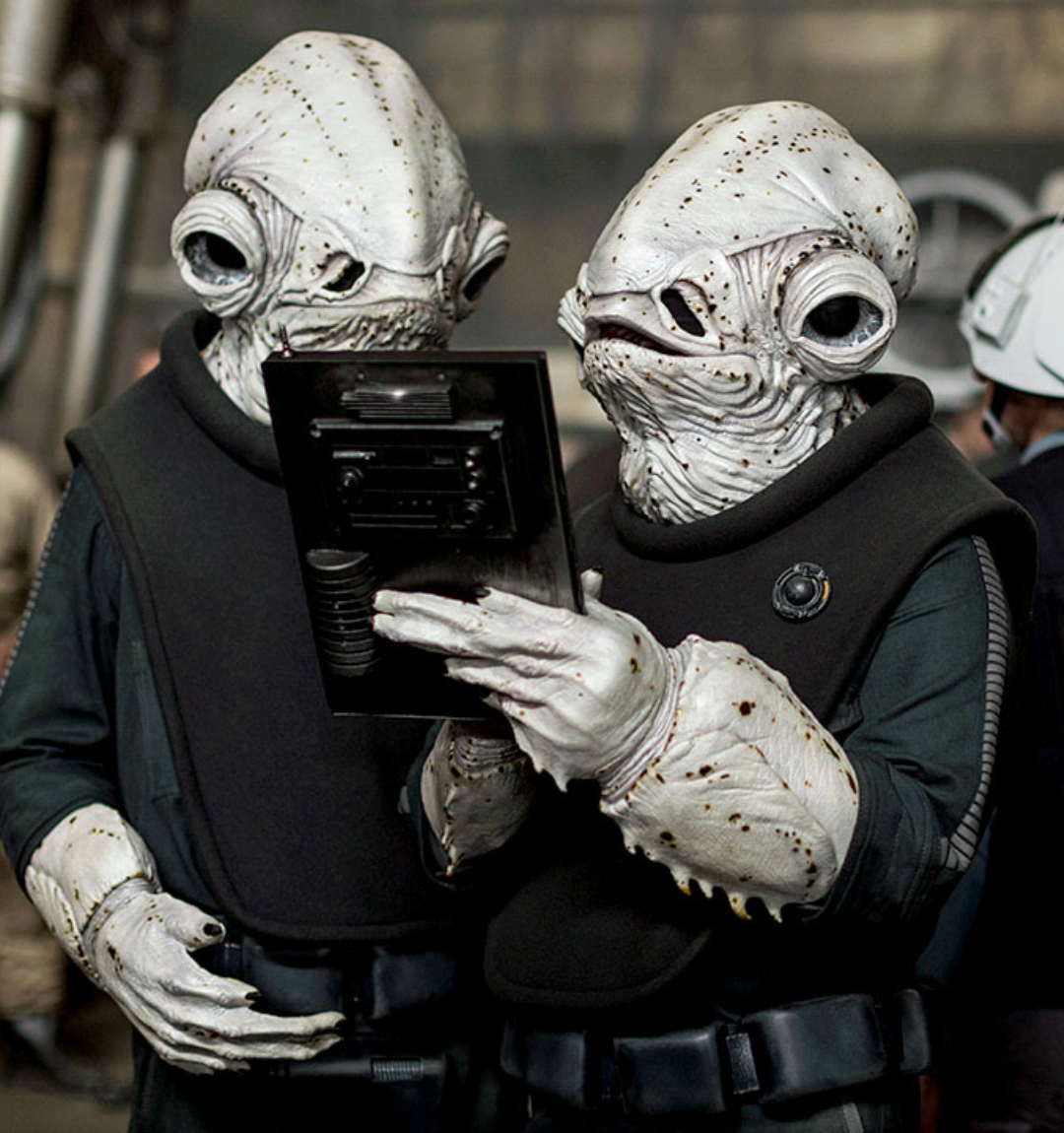 A pair of Mon Calamari alongside Rebel troopers