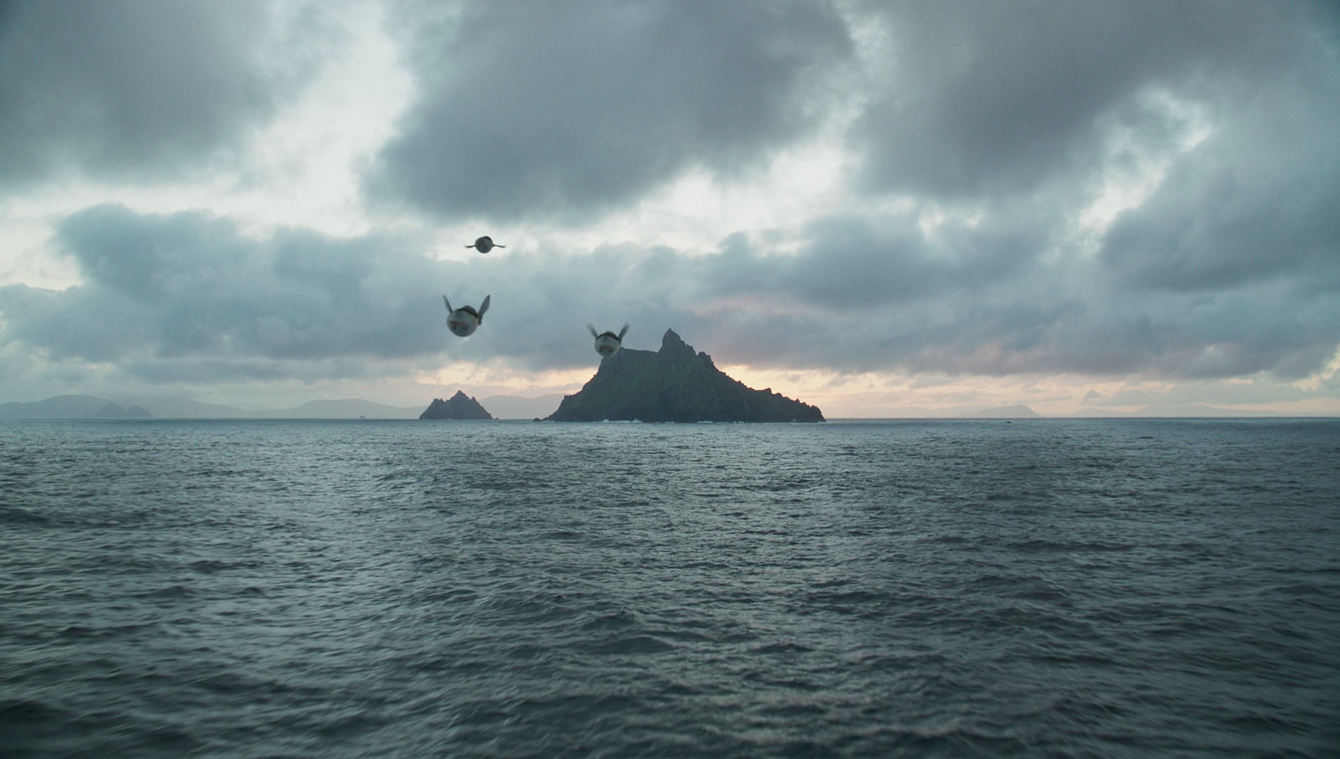 Three porgs flying towards the Temple Island