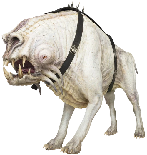 CorellianHound-SoloTOG