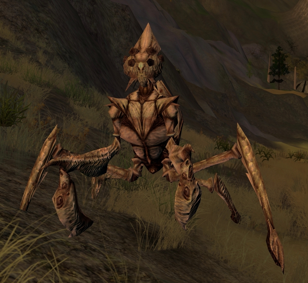 Dalyrake appearance 