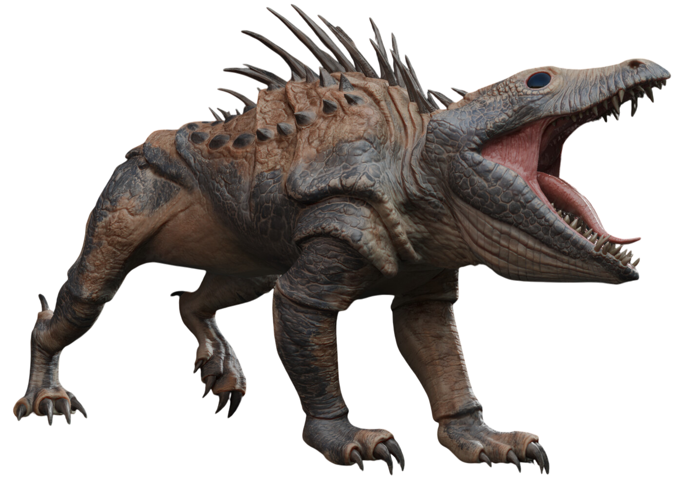 Massiff appearance 