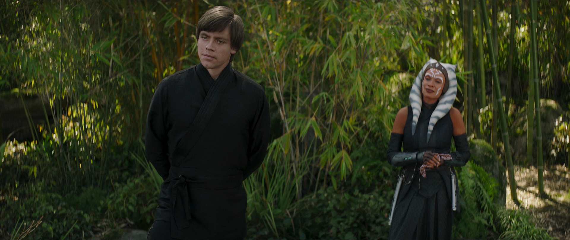 Skywalker speaks with Tano about Grogu, while watching him train on the riverbank.