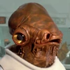 Gial Ackbar (409 KB) Image
