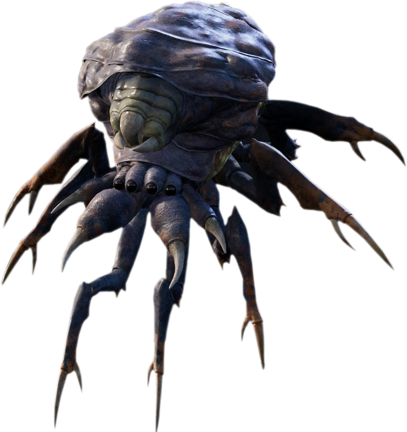 Bane Back Spider appearance in Common Appearance